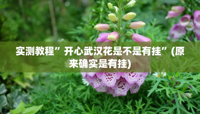 实测教程”hhpoker辅助器”(原来确实是有挂)