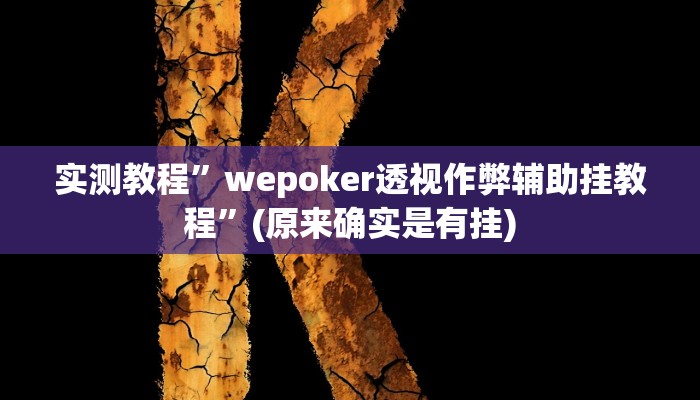 实测教程”玖天乐游十三水开挂透视辅助软件”(详细开挂教程)