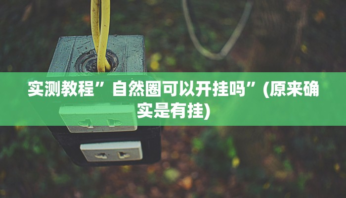 实测教程”微乐河南麻将开挂神器”(详细开挂教程)