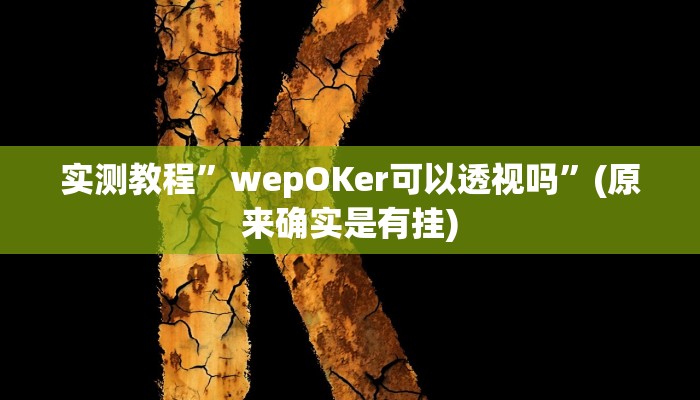 实测教程”德州wepoker开挂透视辅助方法”(详细开挂教程)