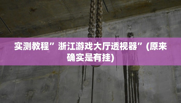 实测教程”德州werplan作弊辅助透视”(原来确实是有挂)