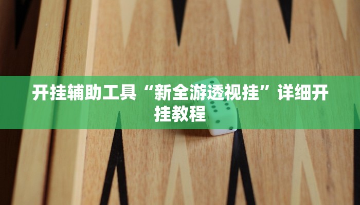 开挂辅助工具“新全游透视挂”详细开挂教程