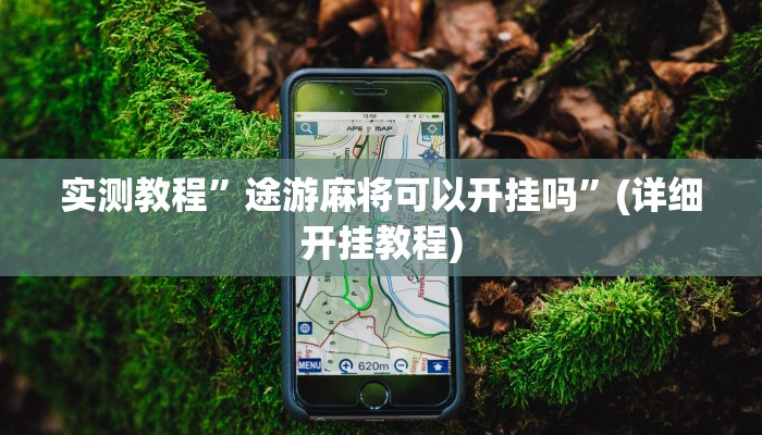 实测教程”wepoker真的有透视挂么”(原来确实是有挂)