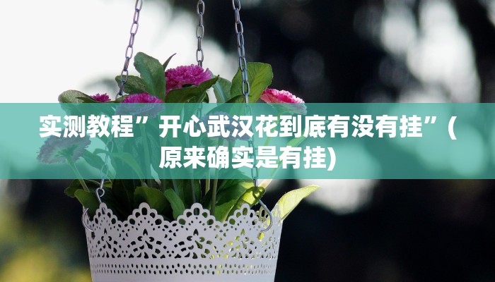 实测教程”开心武汉花到底有没有挂”(原来确实是有挂)