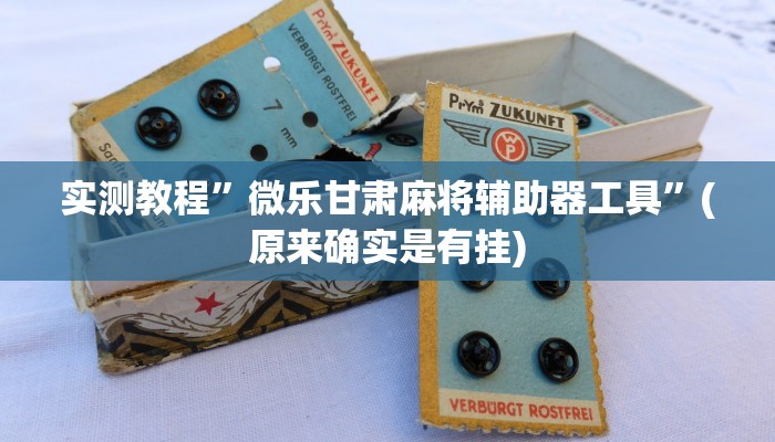 实测教程”微乐甘肃麻将辅助器工具”(原来确实是有挂)
