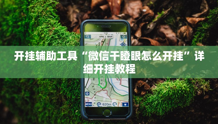 开挂辅助工具“微信干瞪眼怎么开挂”详细开挂教程