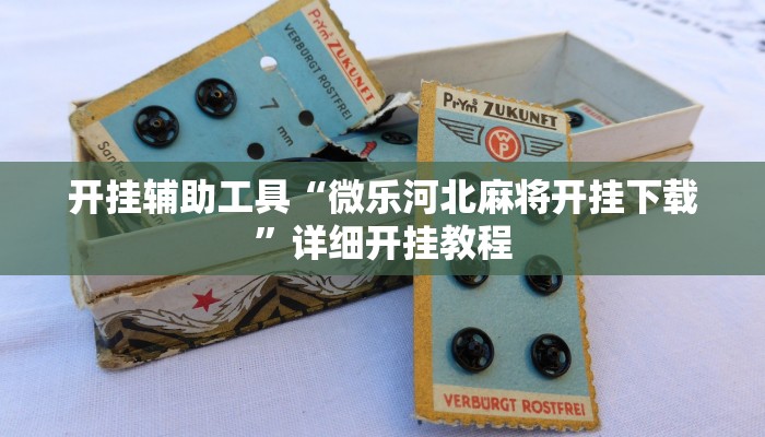实测教程”七彩佬腌菜开挂透视辅助方法”(详细开挂教程)