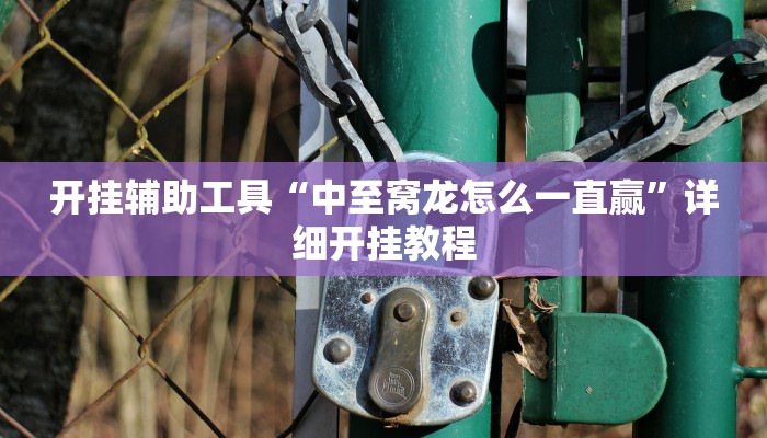 实测教程”桂麻圈可以作弊吗”(原来确实是有挂)