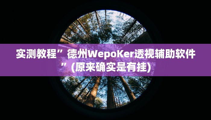 实测教程”德扑之星私人局开挂是真的吗”(原来确实是有挂)