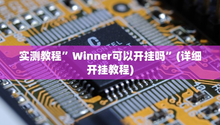 实测教程”德扑之星透视辅助”(原来确实是有挂)