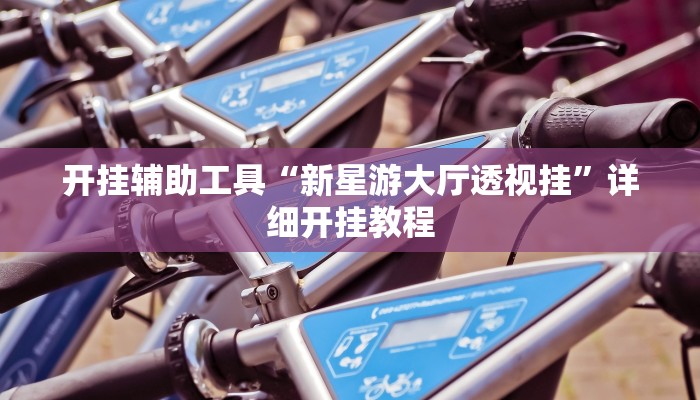 开挂辅助工具“新星游大厅透视挂”详细开挂教程