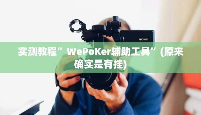 实测教程”WePoKer辅助工具”(原来确实是有挂)