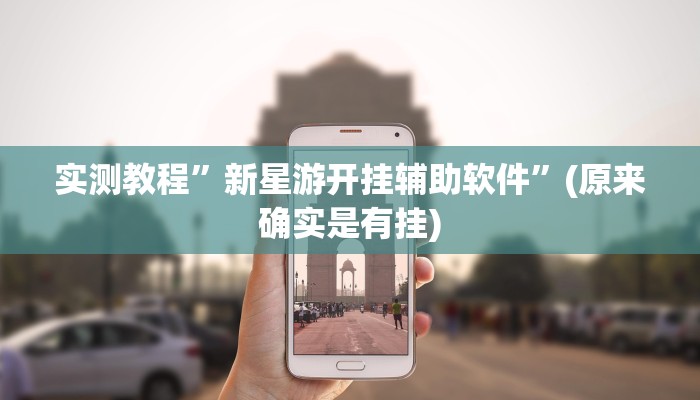 开挂辅助工具“闲逸碰胡辅助神器”详细开挂教程