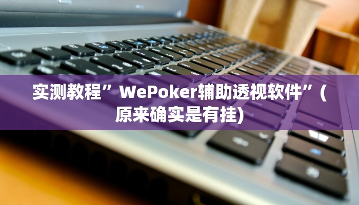 实测教程”WePoker辅助透视软件”(原来确实是有挂)