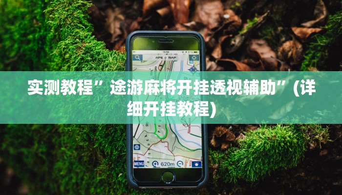 实测教程”途游麻将开挂透视辅助”(详细开挂教程)