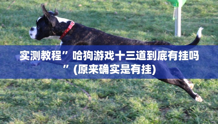 开挂辅助工具“兴动麻将开挂神器下载”其实确实有挂