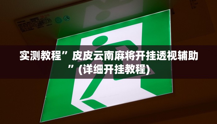 实测教程”WepoKer到底有辅助挂吗”(原来确实是有挂)