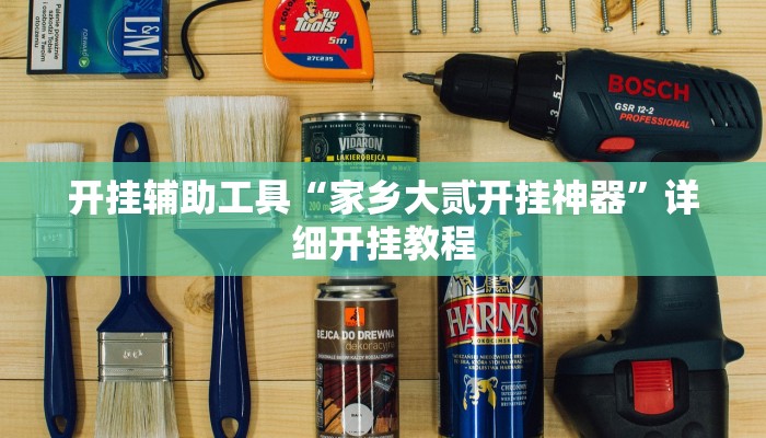 开挂辅助工具“家乡大贰开挂神器”详细开挂教程