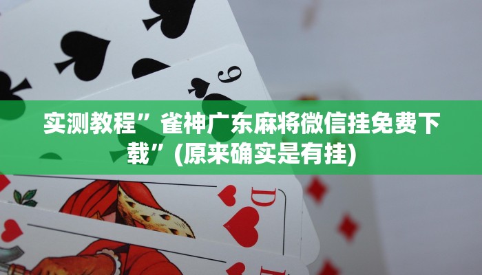 开挂辅助工具“边锋干瞪眼小程序确实真的有挂”详细开挂教程