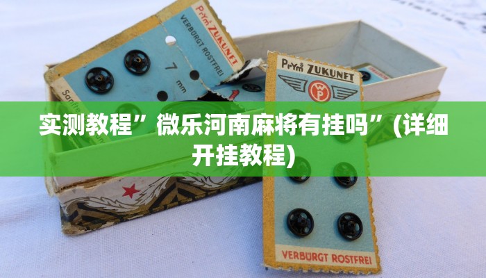 实测教程”wepoker作弊辅助方法”(原来确实是有挂)