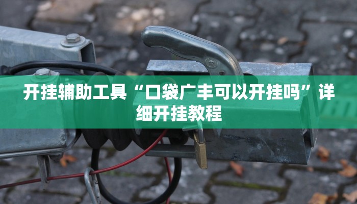实测教程”微乐陕西挖坑透视辅助”(原来确实是有挂)