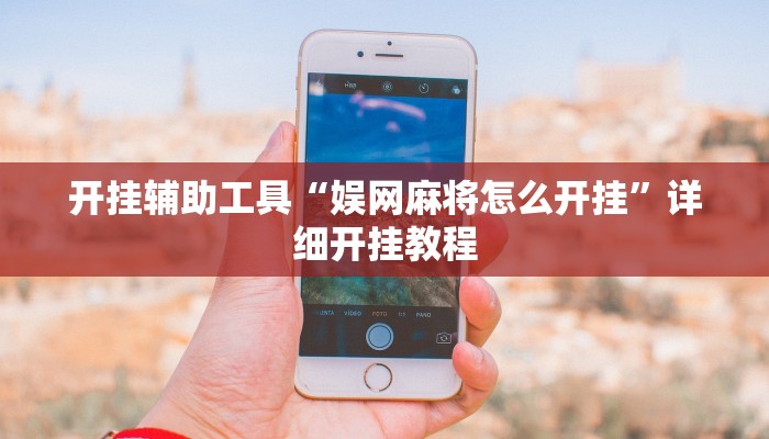 开挂辅助工具“友友联盟透视软件”其实确实有挂