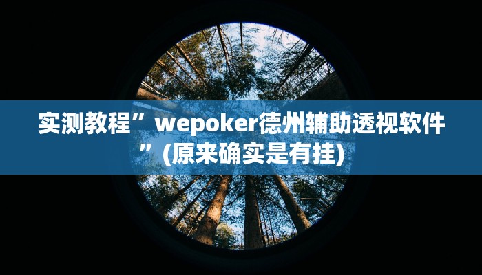 实测教程”德州扑克用挂开挂软件”(原来确实是有挂)