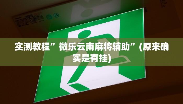 实测教程”微乐跑得快开挂神器”(原来确实是有挂)
