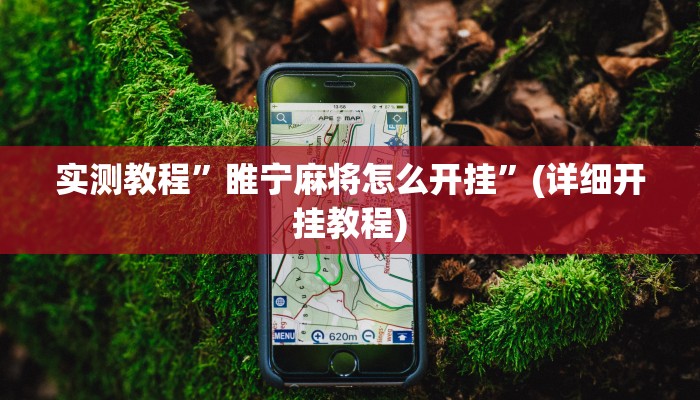 实测教程”微乐河南麻将开挂神器”(详细开挂教程)