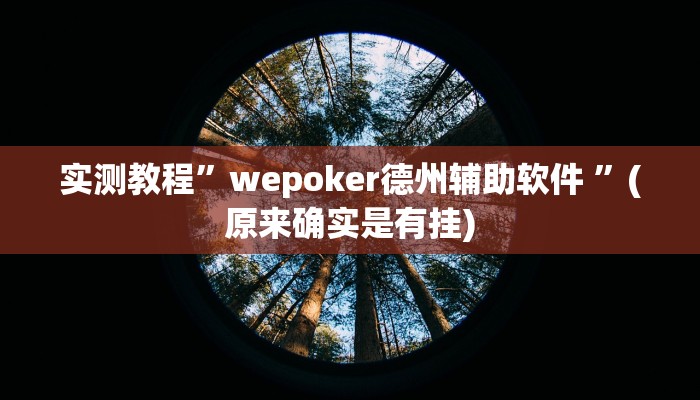 实测教程”wepoker德州辅助软件 ”(原来确实是有挂)