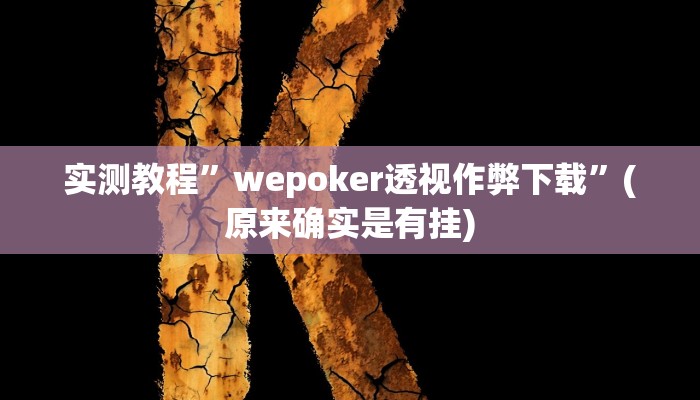 开挂辅助工具“黑鹰众玩辅助挂”其实确实有挂