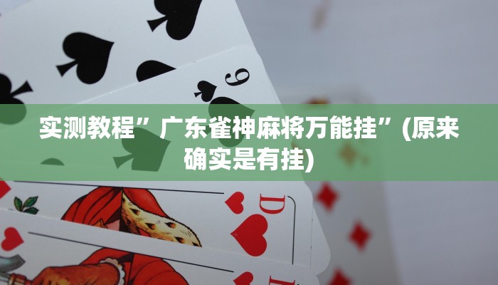 实测教程”皮皮跑胡子真的能开挂吗”(原来确实是有挂)