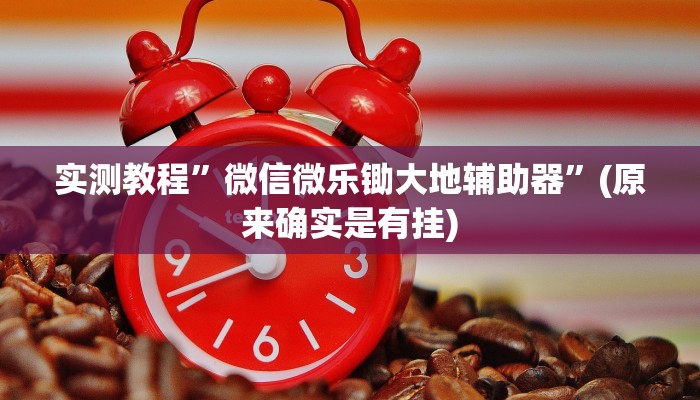 实测教程”wepoker辅助作弊透视挂”(原来确实是有挂)