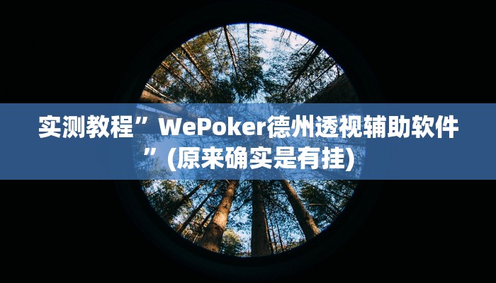 实测教程”跑得快16张开挂神器”(原来确实是有挂)