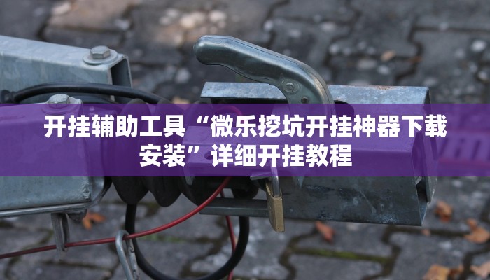 开挂辅助工具“微乐挖坑开挂神器下载安装”详细开挂教程