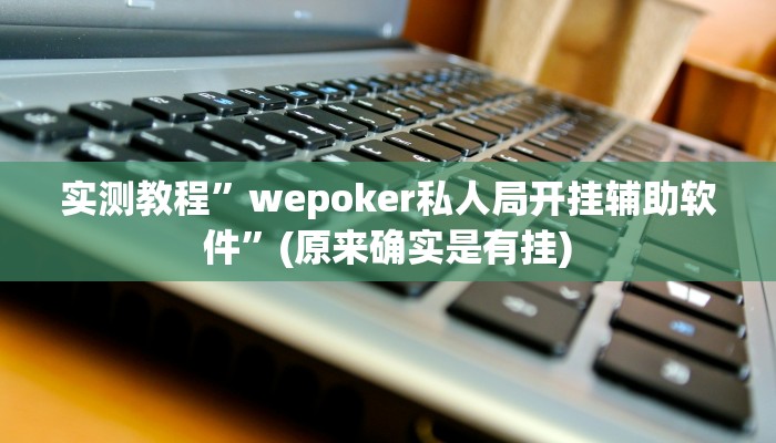 实测教程”wepoker俱乐部用挂开挂软件”(原来确实是有挂)