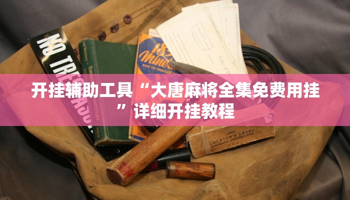 开挂辅助工具“广西跑胡子透视挂”其实确实有挂
