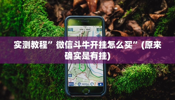 实测教程”拼三张开挂神器”(原来确实是有挂)