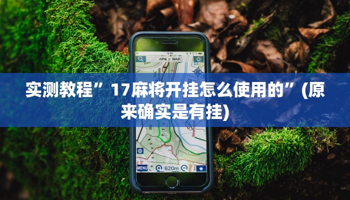实测教程”微乐跑得快这真的有挂吗”(原来确实是有挂)