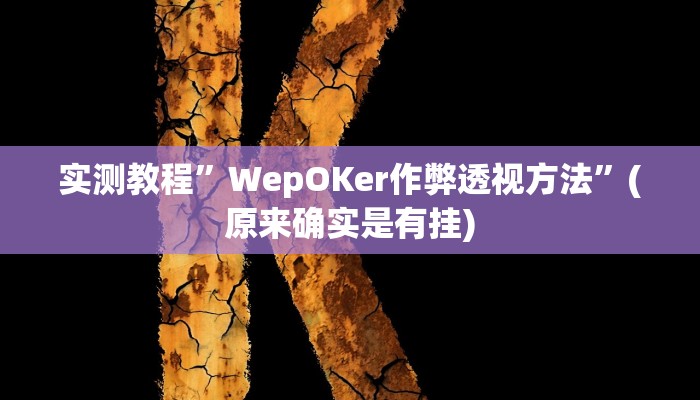 实测教程”wepoker万能挂怎么安装”(原来确实是有挂)