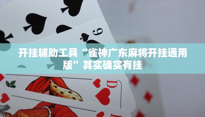 实测教程”中至江西麻将开挂怎么买”(原来确实是有挂)