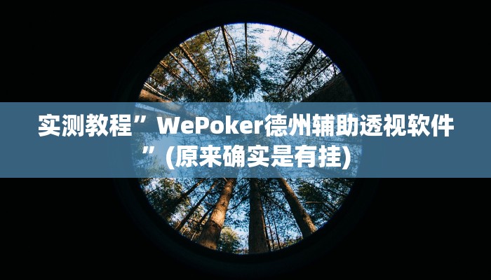实测教程”WePoker俱乐部透视作弊挂教程”(原来确实是有挂)