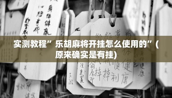 实测教程”天天欢乐德州开挂神器”(原来确实是有挂)