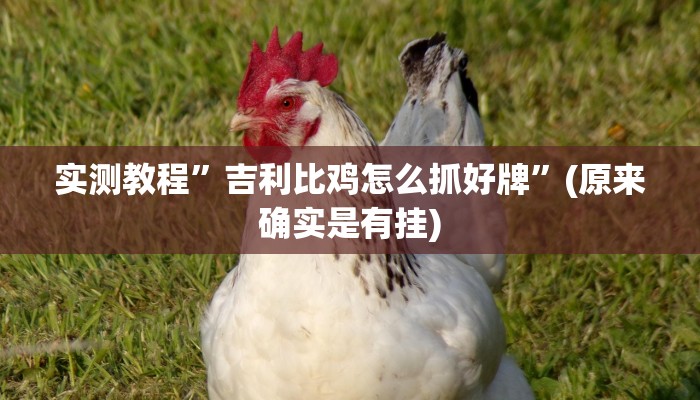 实测教程”微乐斗地主必赢神器确实这么的有挂”(原来确实是有挂)