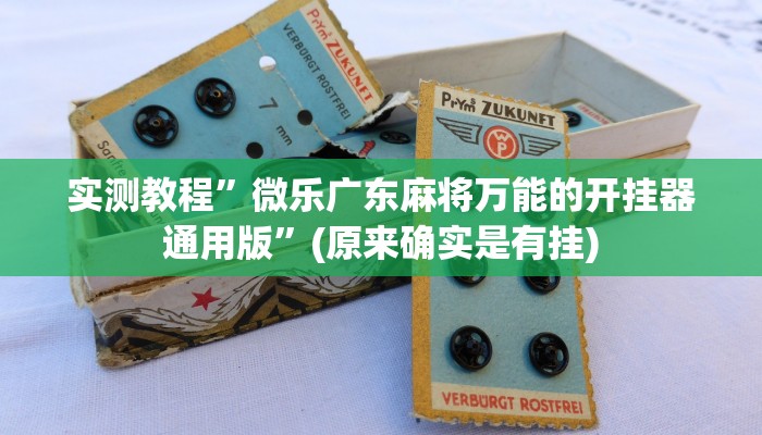 实测教程”相约十三张挂怎么安装”(原来确实是有挂)