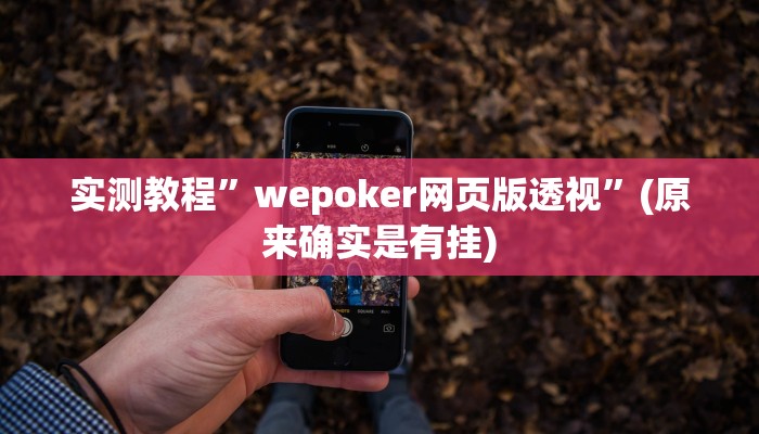 开挂辅助工具“吉祥麻将填大坑开挂免费软件”其实确实有挂