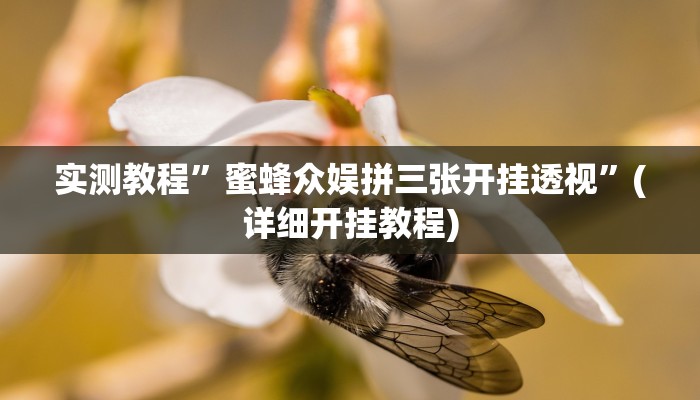 实测教程”微信小程序麻将开挂神器应用”(原来确实是有挂)