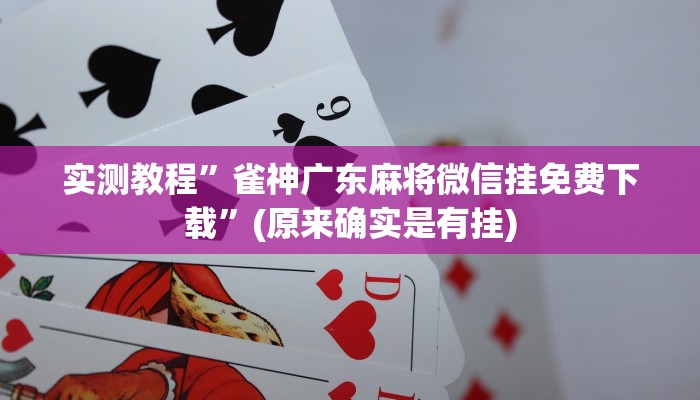 实测教程”wepoker开挂透视辅助”(原来确实是有挂)