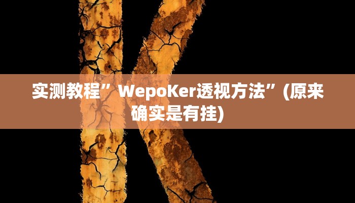 实测教程”长乐互娱辅助软件”(详细开挂教程)