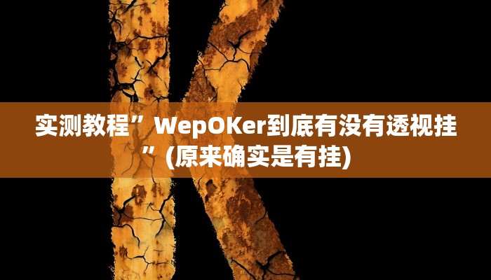 实测教程”wepoker作弊辅助开挂工具”(原来确实是有挂)